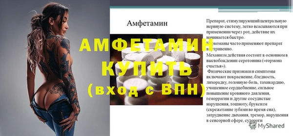 прущие грибы Гусиноозёрск