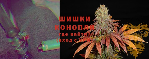 ECSTASY Гусев